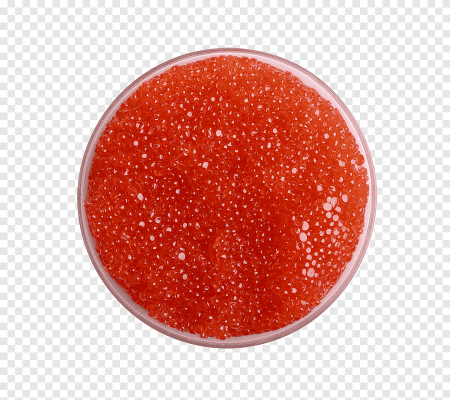 Caviar икра горбуша