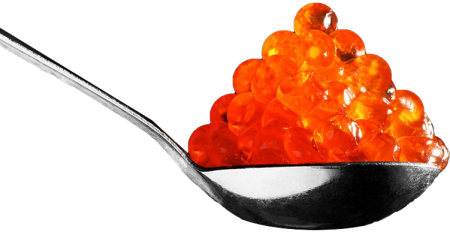 Ложка для икры