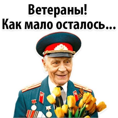 Ветеран на белом фоне