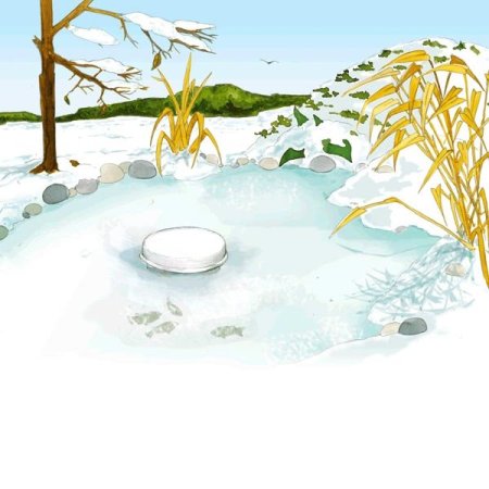 Антиобледенитель PONDOPOLAR