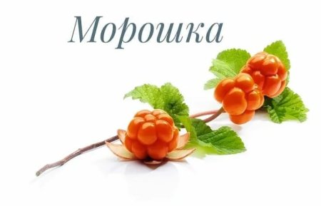 Морошка ягода