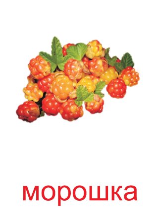 Магазин Морошка