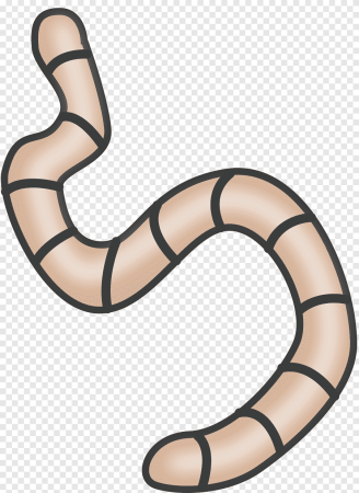Worms черви