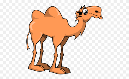 Camel верблюд изображения