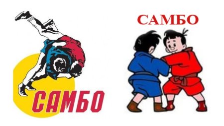 Борьба самбо логотип