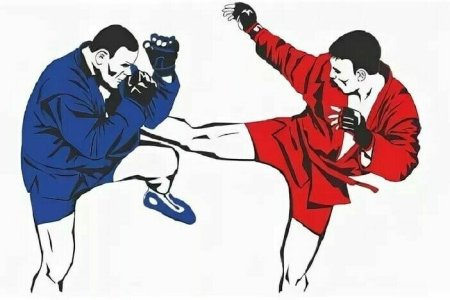 Алексей Князев самбо