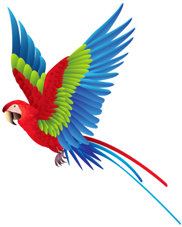 Parrotlet попугай