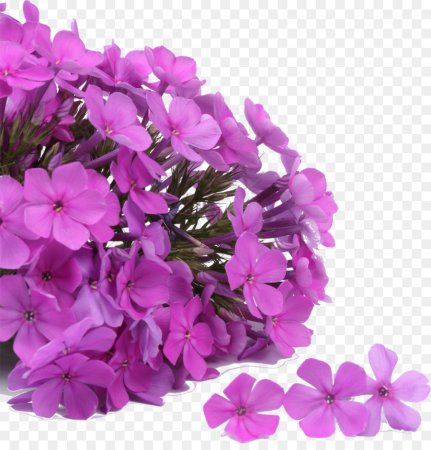 Флокс для фотошопа