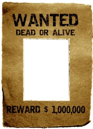 Wanted разыскивается