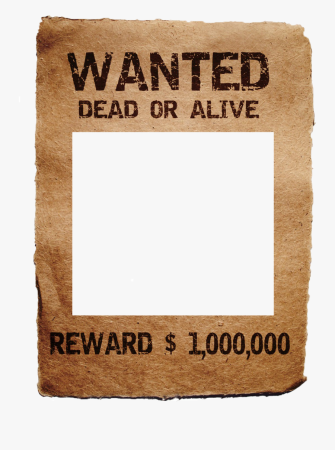Wanted разыскивается