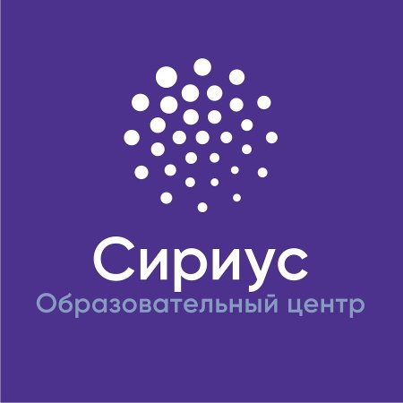 Сириус Сочи логотип