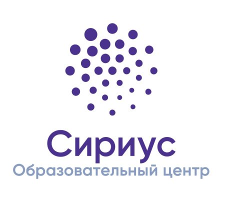 Сириус Сочи логотип