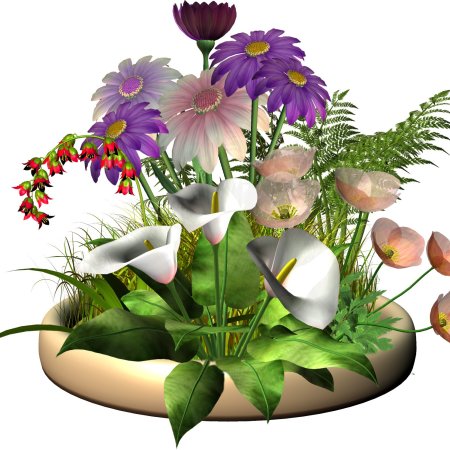 Клумба с цветами на прозрачном фоне