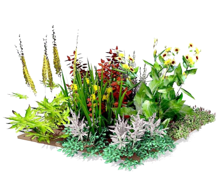 Цветники из многолетников