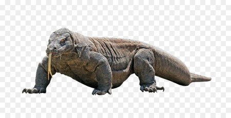 Schleich Комодский Варан