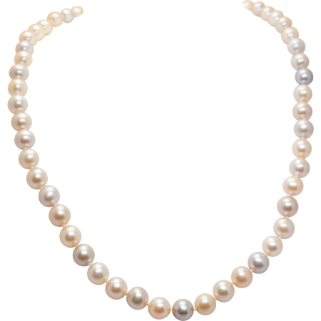 Бусы из жемчуга на белом фоне