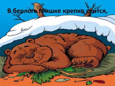 Медведь в спячке в берлоге