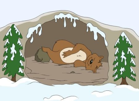 Рисование медведь в берлоге