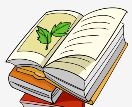 Книжка рисунок