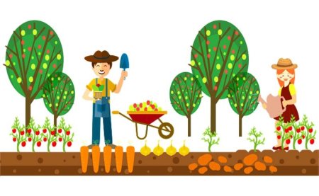 Огород для детей на прозрачном фоне