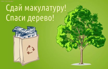 Сбор макулатуры акция Спаси дерево
