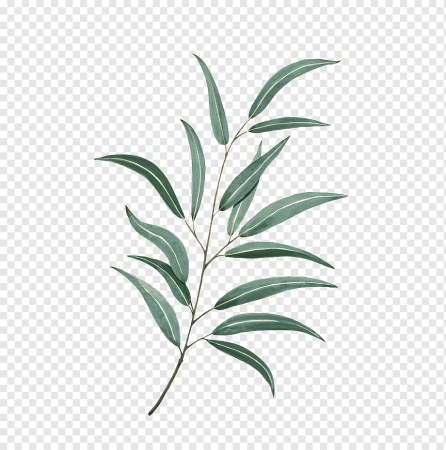 Листья акварель