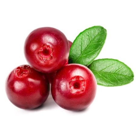 Cowberry брусника