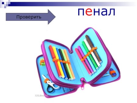 Пенал вектор