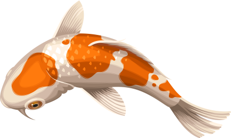 Карп обыкновенный – Cyprinus Carpio