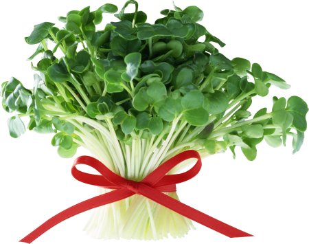 Мульти зелень