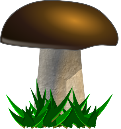 Грибы для детей на прозрачном фоне