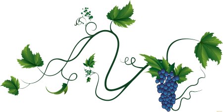 Виноградная лоза пнгпнг