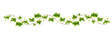 Рамка из виноградной лозы