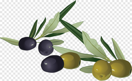 Оливки на белом фоне