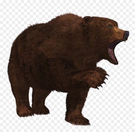 Медведь без фона