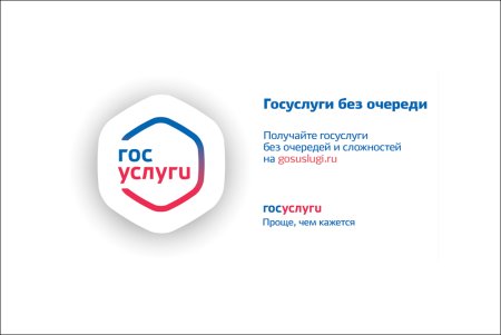 Госуслуги картинка
