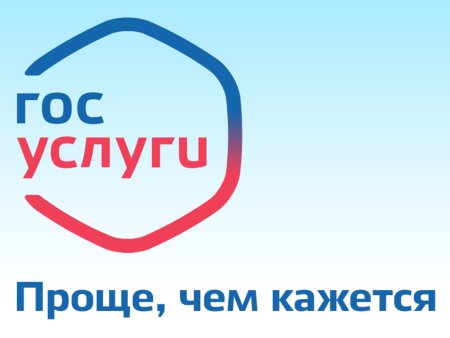 Госуслуги иконка