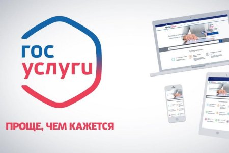 Картинки госуслуги портал