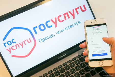 Госуслуги добровольцы
