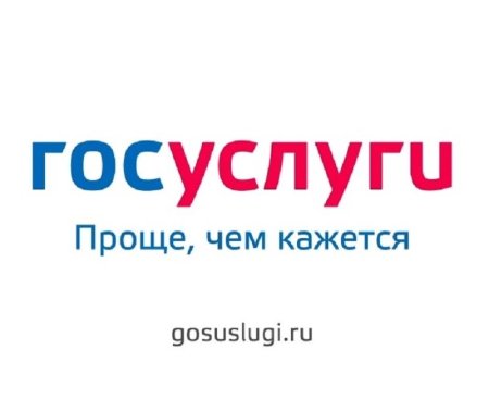 Портал госуслуг картинки
