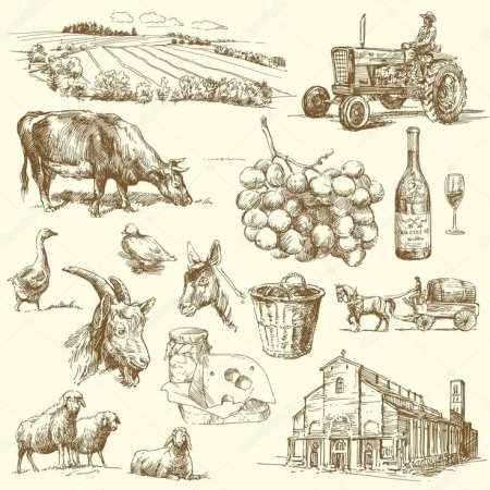 Фермерские продукты рисунок