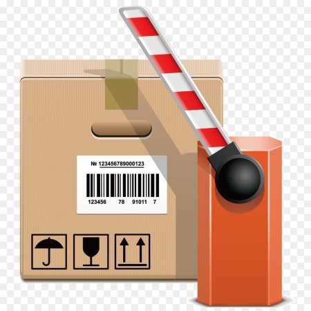 Таможенный контроль иконка