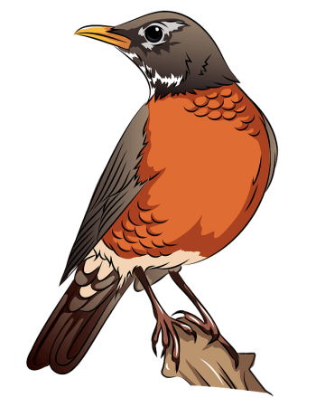 Дрозд мультяшный