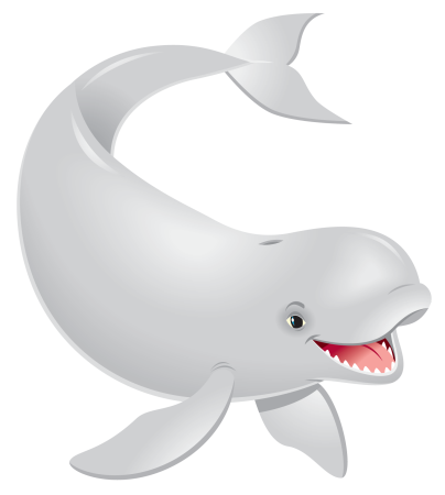 Дельфин Белуха