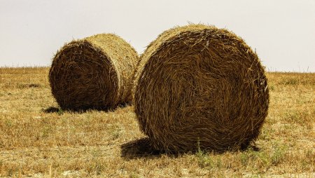 Солома в тюках