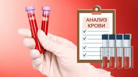 Общее исследование крови