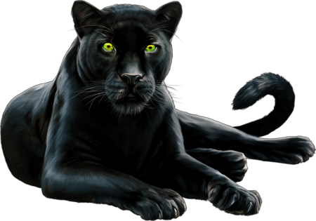 Черная пантера