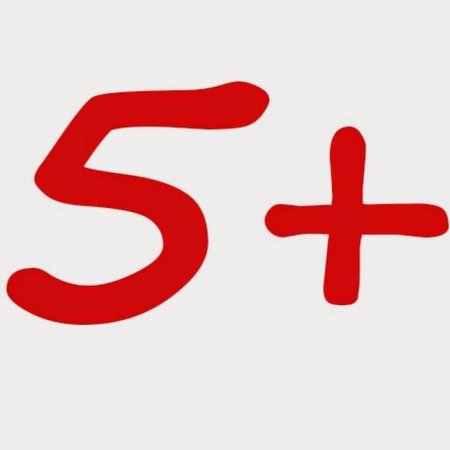 Оценка 5 с плюсом