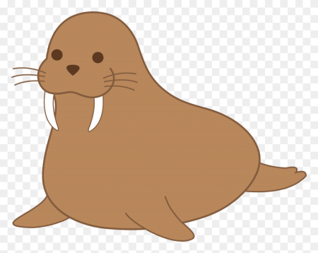 Walrus Моржик