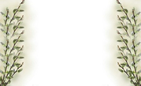 Веточки вербы рамка